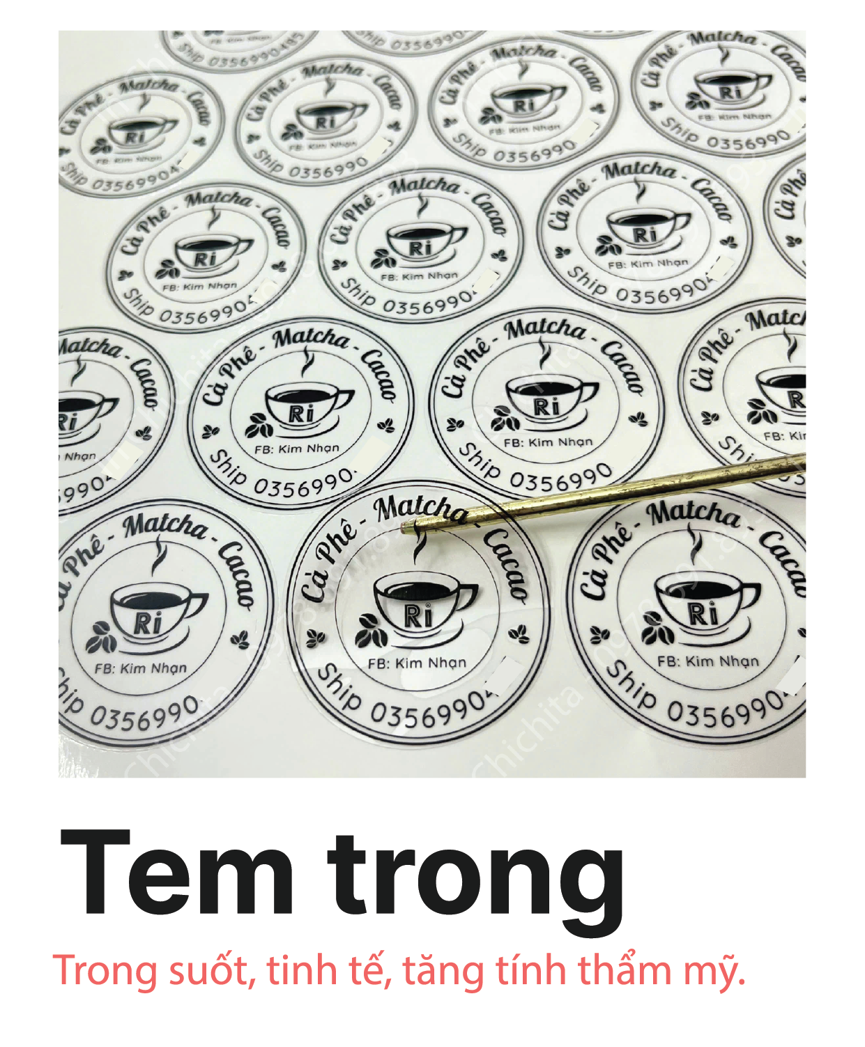 Tem trong